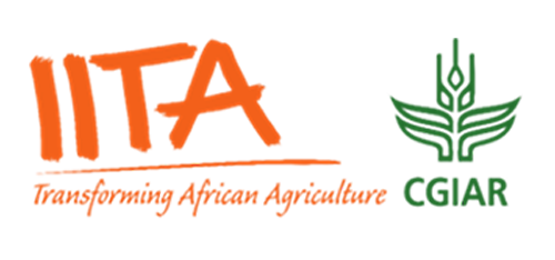 iita